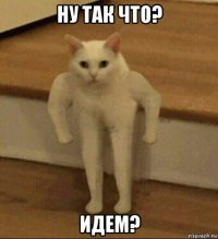 ну так что? идем?