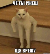 чё ты ржеш щя врежу