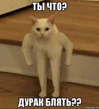 ты что? дурак блять??