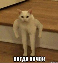  когда кочок