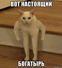 вот настоящий богатырь