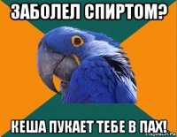 заболел спиртом? кеша пукает тебе в пах!