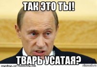 так это ты! тварь усатая?