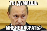 ты думаешь мне не насрать?