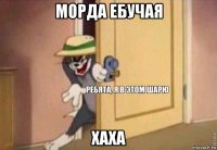 морда ебучая хаха