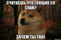 считаешь что гонщик со скай? зачем ты так(