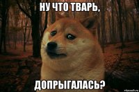 ну что тварь, допрыгалась?