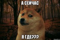 а сейчас я где???