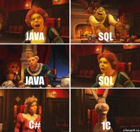 JAVA SQL JAVA SQL C# 1C