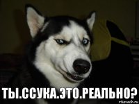 ты.ссука.это.реально?