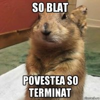 so blat povestea so terminat