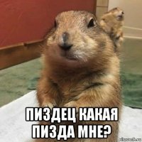  пиздец какая пизда мне?