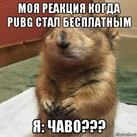 моя реакция когда pubg стал бесплатным я: чаво???