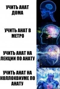 Учить анат дома Учить анат в метро Учить анат на лекции по анату Учить анат на коллоквиуме по анату