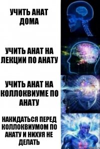 Учить анат дома Учить анат на лекции по анату Учить анат на коллоквиуме по анату Накидаться перед коллоквиумом по анату и нихуя не делать