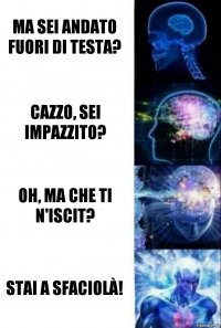 Ma sei andato fuori di testa? Cazzo, sei impazzito? Oh, ma che ti n'iscit? Stai a sfaciolà!