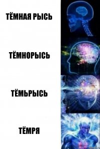 Тёмная Рысь Тёмнорысь ТёмьРысь Тёмря