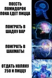 Поесть помидорок пока едет пицца Поиграть в шадоу вар Поиграть в шахматы отдать коляну 250 и пиццу