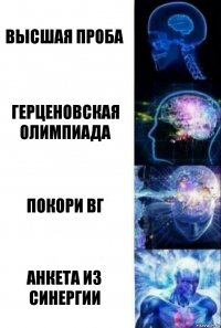 Высшая проба Герценовская олимпиада Покори ВГ Анкета из Синергии