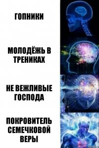 Гопники Молодёжь в трениках Не вежливые господа Покровитель семечковой веры