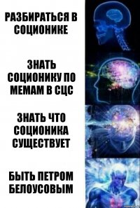 разбираться в соционике знать соционику по мемам в сцс знать что соционика существует быть петром белоусовым