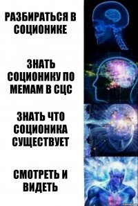 разбираться в соционике знать соционику по мемам в сцс знать что соционика существует смотреть и видеть