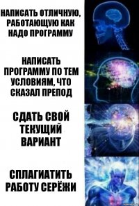 Написать отличную, работающую как надо программу Написать программу по тем условиям, что сказал препод Сдать свой текущий вариант Сплагиатить работу Серёжи