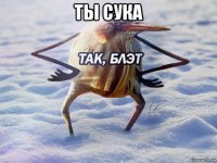 ты сука 