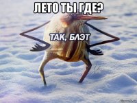 лето ты где? 