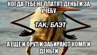 когда тебе не платят деньги за учебу а еще и орут и забирают комп и деньги