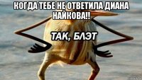 когда тебе не ответила диана найкова!! 