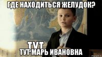 где находиться желудок? тут марь ивановна