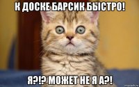 к доске барсик быстро! я?!? может не я а?!