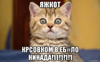 яжкот крсовком в еб#ло нинада!11!1!1!1