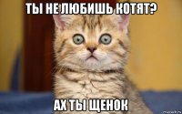 ты не любишь котят? ах ты щенок