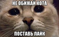 не обижай кота поставь лайк