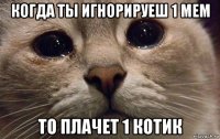 когда ты игнорируеш 1 мем то плачет 1 котик