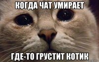 когда чат умирает где-то грустит котик