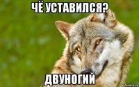 чё уставился? двуногий