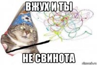 вжух и ты не свинота