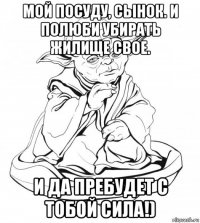 мой посуду, сынок. и полюби убирать жилище свое. и да пребудет с тобой сила!)