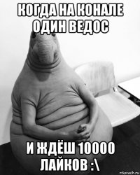 когда на конале один ведос и ждёш 10000 лайков :\