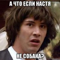 а что если настя не собака?