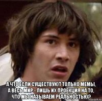  а что если существуют только мемы, а весь мир - лишь их проекция на то, что мы называем реальностью?