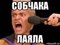 собчака лаяла