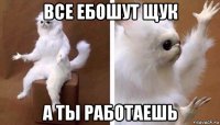 все ебошут щук а ты работаешь