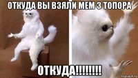 откуда вы взяли мем 3 топора откуда!!!!!!!!