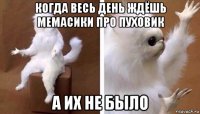 когда весь день ждёшь мемасики про пуховик а их не было