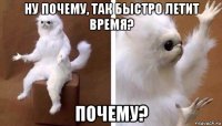 ну почему, так быстро летит время? почему?