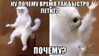 ну почему время так быстро летит? почему?